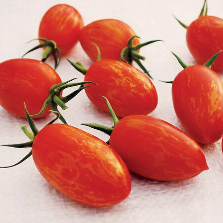 Red Torch, Tomato Seeds - Packet image number null